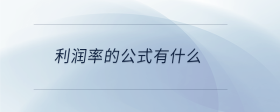 利潤(rùn)率的公式有什么