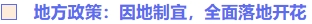 地方政策：因地制宜，全面落地開花