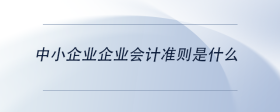 中小企業(yè)企業(yè)會(huì)計(jì)準(zhǔn)則是什么