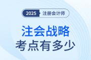 注冊(cè)會(huì)計(jì)師戰(zhàn)略考點(diǎn)有多少？