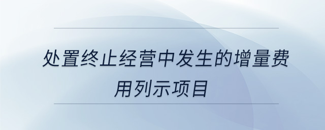 處置終止經(jīng)營中發(fā)生的增量費(fèi)用列示項目