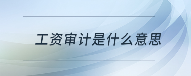 工資審計(jì)是什么意思