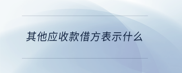 其他應(yīng)收款借方表示什么