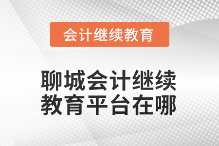 2025年度聊城會計人員繼續(xù)教育平臺在哪？