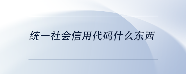 中級(jí)會(huì)計(jì)統(tǒng)一社會(huì)信用代碼什么東西