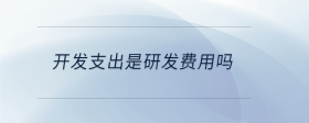 開(kāi)發(fā)支出是研發(fā)費(fèi)用嗎