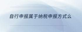 自行申報屬于納稅申報方式么