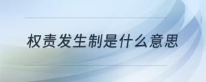 權責發(fā)生制是什么意思