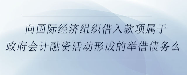 向國際經(jīng)濟組織借入款項屬于政府會計融資活動形成的舉借債務么