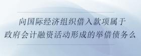 向國際經(jīng)濟組織借入款項屬于政府會計融資活動形成的舉借債務(wù)么