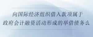 向國際經(jīng)濟(jì)組織借入款項(xiàng)屬于政府會計(jì)融資活動形成的舉借債務(wù)么