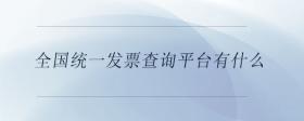 全國統(tǒng)一發(fā)票查詢平臺有什么