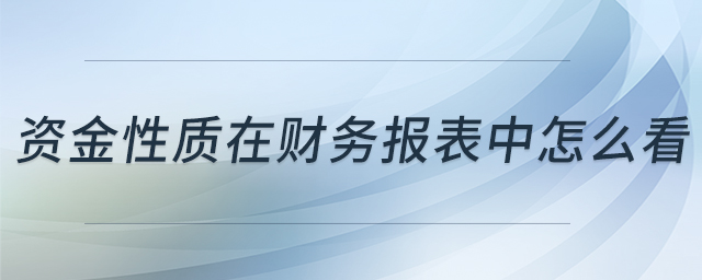 資金性質(zhì)在財務(wù)報表中怎么看