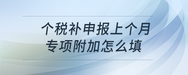 個稅補(bǔ)申報上個月專項附加怎么填