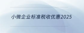 小微企業(yè)標(biāo)準(zhǔn)稅收優(yōu)惠2025