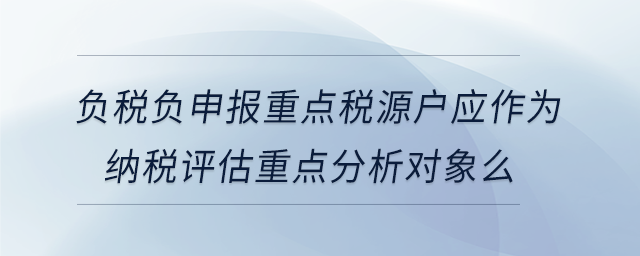 負(fù)稅負(fù)申報重點稅源戶應(yīng)作為納稅評估重點分析對象么