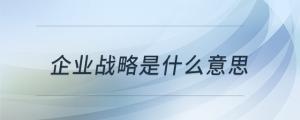 企業(yè)戰(zhàn)略是什么意思