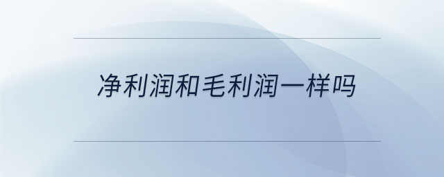 凈利潤和毛利潤一樣嗎
