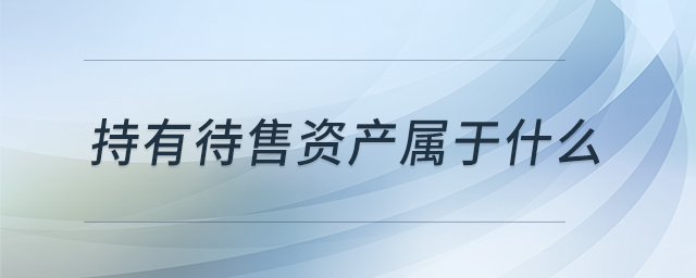 持有待售資產(chǎn)屬于什么