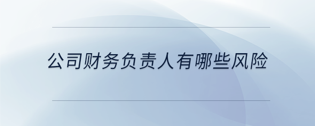 公司財務(wù)負(fù)責(zé)人有哪些風(fēng)險