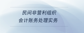 民間非營(yíng)利組織會(huì)計(jì)賬務(wù)處理實(shí)務(wù)