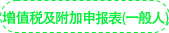 《增值稅及附加稅費(fèi)申報(bào)表（一般人）》