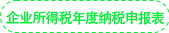 企業(yè)所得稅年度納稅申報(bào)表