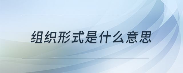 組織形式是什么意思