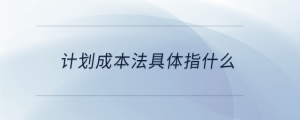 計劃成本法具體指什么