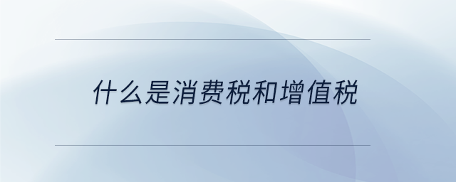 什么是消費稅和增值稅