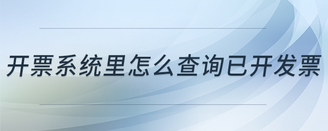 開票系統(tǒng)里怎么查詢已開發(fā)票