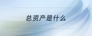 總資產(chǎn)是什么