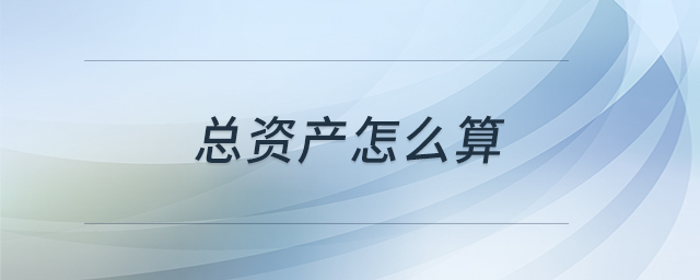 總資產(chǎn)怎么算