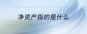 凈資產(chǎn)指的是什么