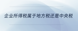 企業(yè)所得稅屬于地方稅還是中央稅