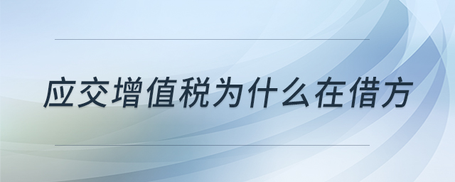 應(yīng)交增值稅為什么在借方