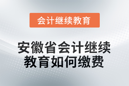 2025年安徽省會計繼續(xù)教育如何繳費？