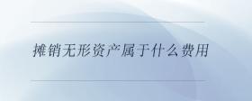 攤銷無形資產(chǎn)屬于什么費用