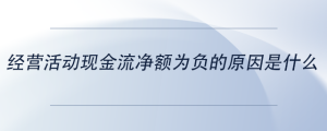 經(jīng)營活動現(xiàn)金流凈額為負(fù)的原因是什么