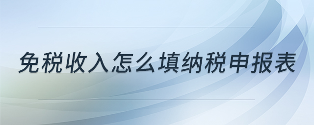 免稅收入怎么填納稅申報表