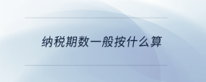 納稅期數(shù)一般按什么算