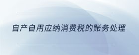自產(chǎn)自用應(yīng)納消費(fèi)稅的賬務(wù)處理