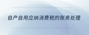 自產(chǎn)自用應(yīng)納消費稅的賬務(wù)處理