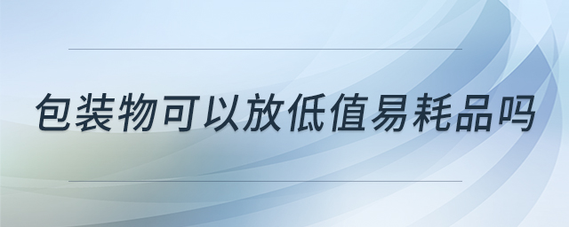 包裝物可以放低值易耗品嗎