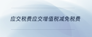 應交稅費應交增值稅減免稅費