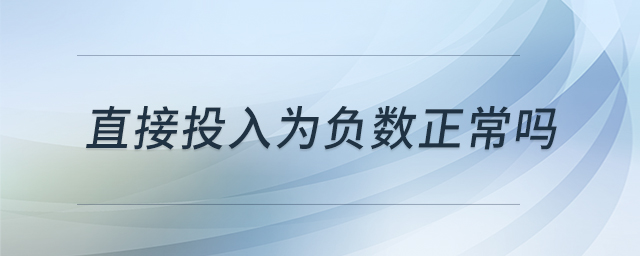 直接投入為負數(shù)正常嗎