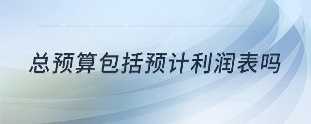 總預(yù)算包括預(yù)計(jì)利潤(rùn)表嗎