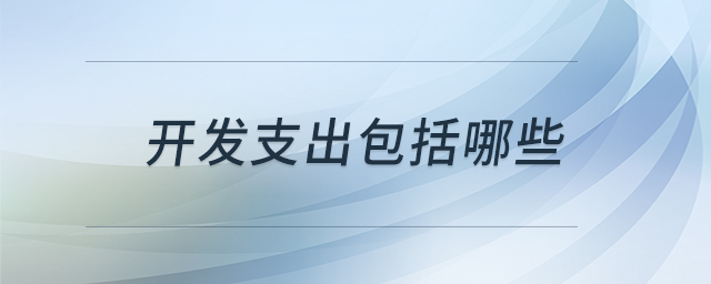 開發(fā)支出包括哪些