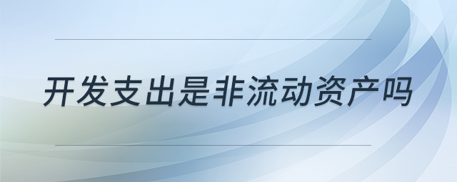 開(kāi)發(fā)支出是非流動(dòng)資產(chǎn)嗎