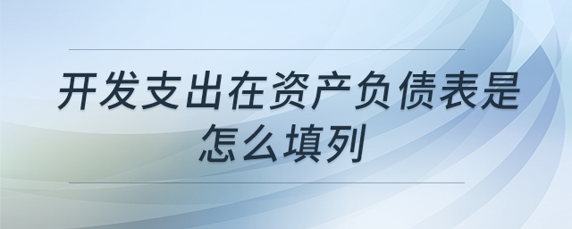 開發(fā)支出在資產(chǎn)負(fù)債表是怎么填列